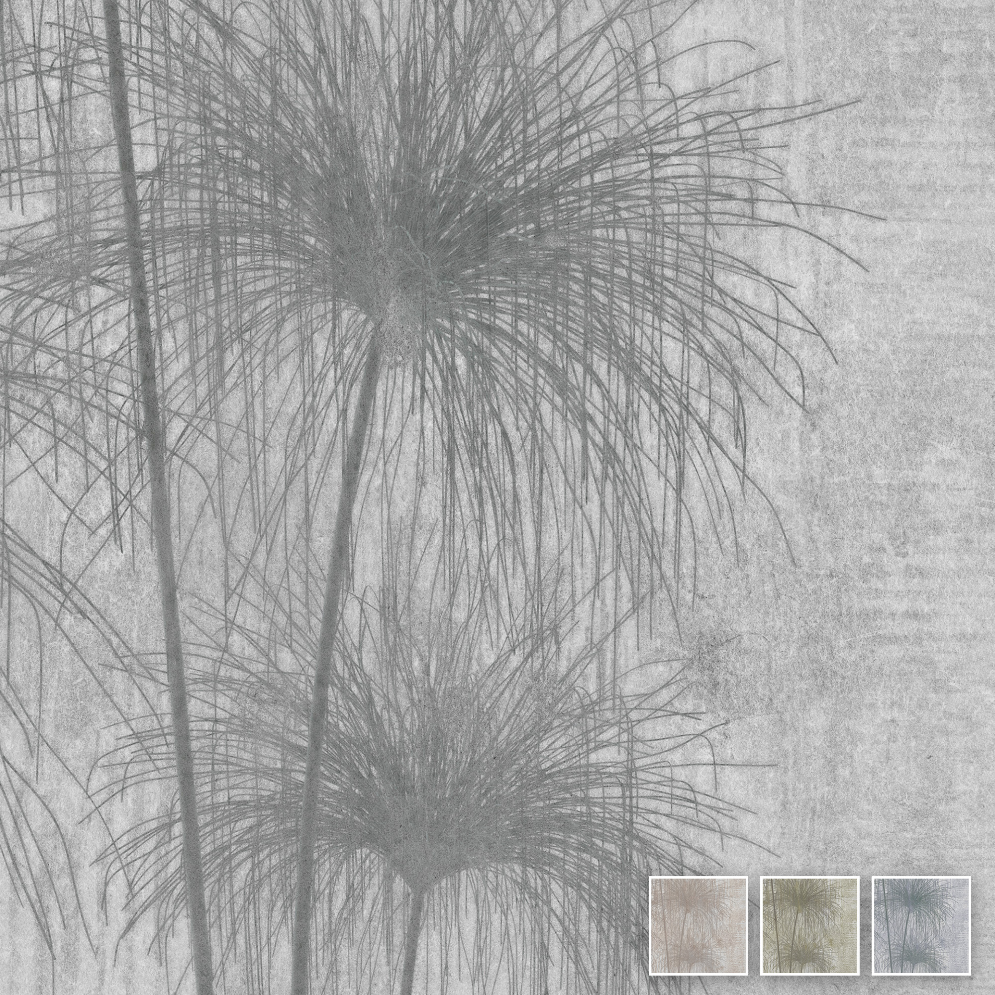 Graue Tapete Shadows of the Pampa Grey mit filigranen, überhängenden Palmgrasblättern für elegante Innenräume