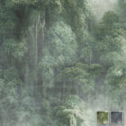 Mystischer Wald mit majestätischen Bäumen und sanftem Nebel im grün-grauen Concrete Rainforest Wanddesign.