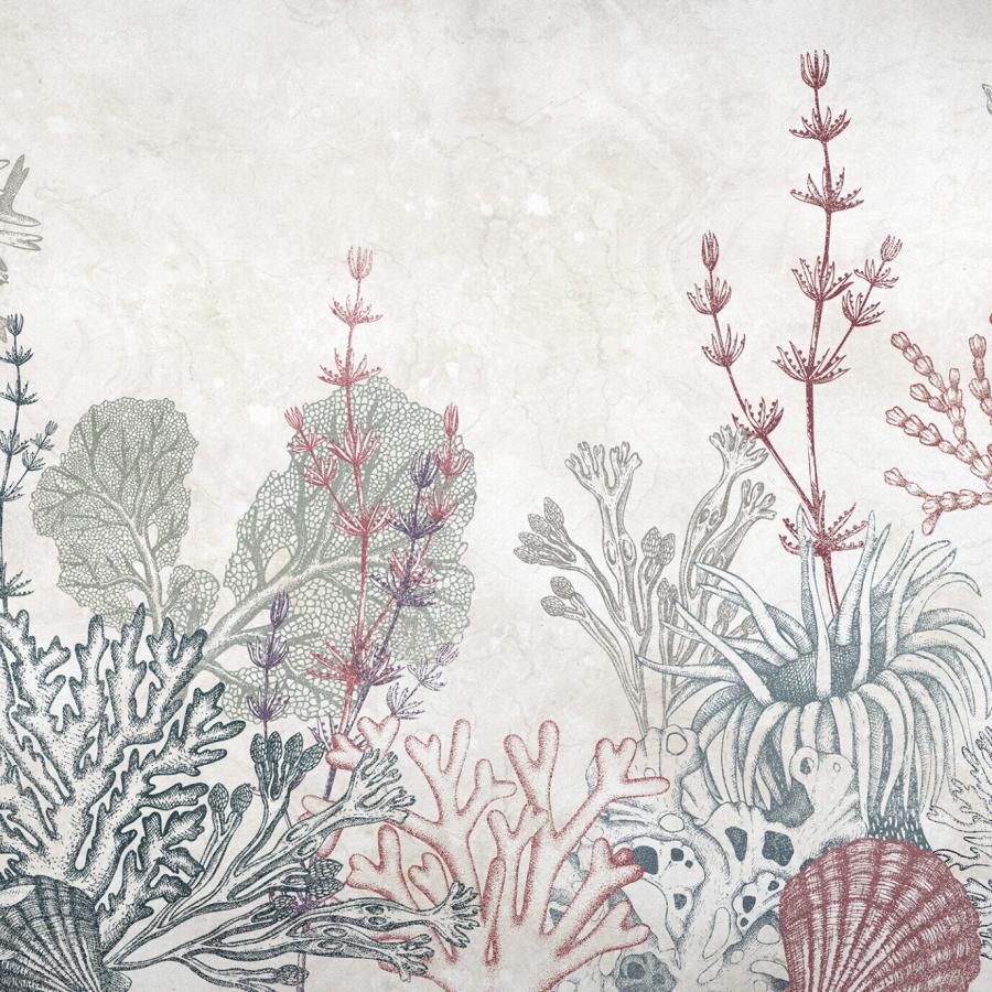 Tresors Marins Color Tapete von k'moor walldesign mit pastellfarbenen Korallenmotiven und Unterwasserambiente, Creme- und Seetönen, texturierter Betonhintergrund