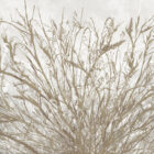 k'moor walldesign Golden Fields k moor Golden Gray fields WEB