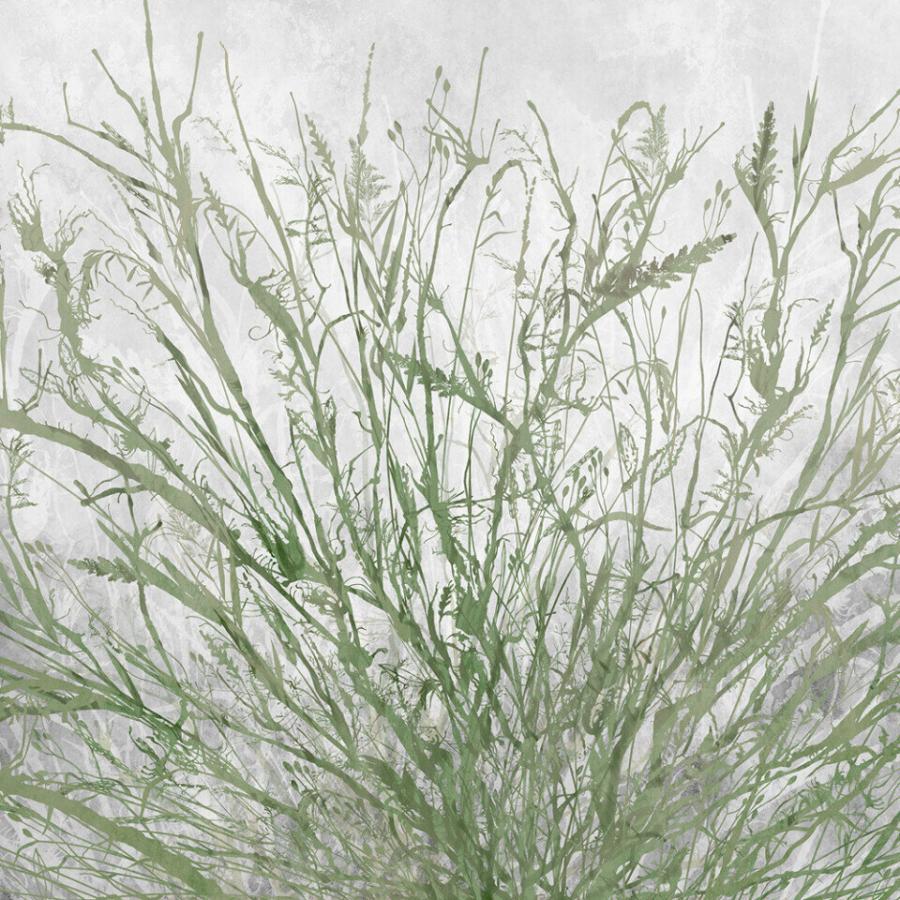 Green Fields: eine grüne Grasstruktur-Tapete von k'moor Walldesign in der Ambience Kollektion, feine Textur, beruhigende Farbgebung, ideales Umfeld