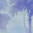 es 005 1 washed jungle blue zoom