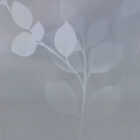 morning mist blue