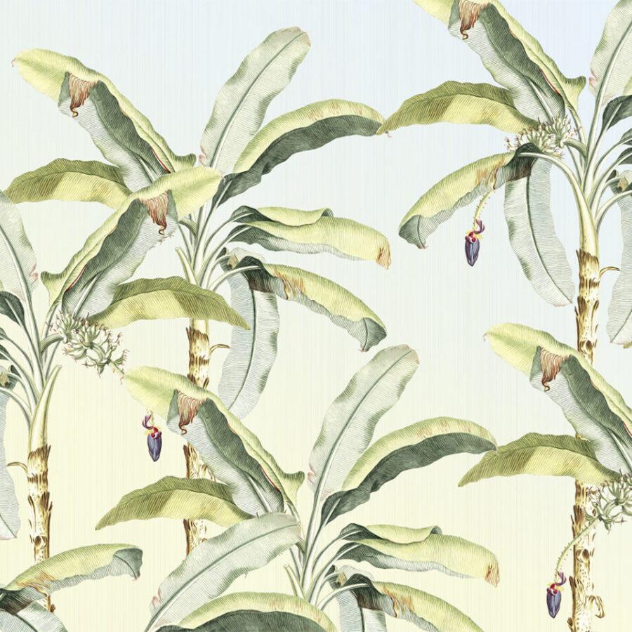 Studio Banana Isola Bella Tapetenmuster mit grünblättrigen Bananenblättern vor hellem blauem Hintergrund, k'moor Walldesign Essence