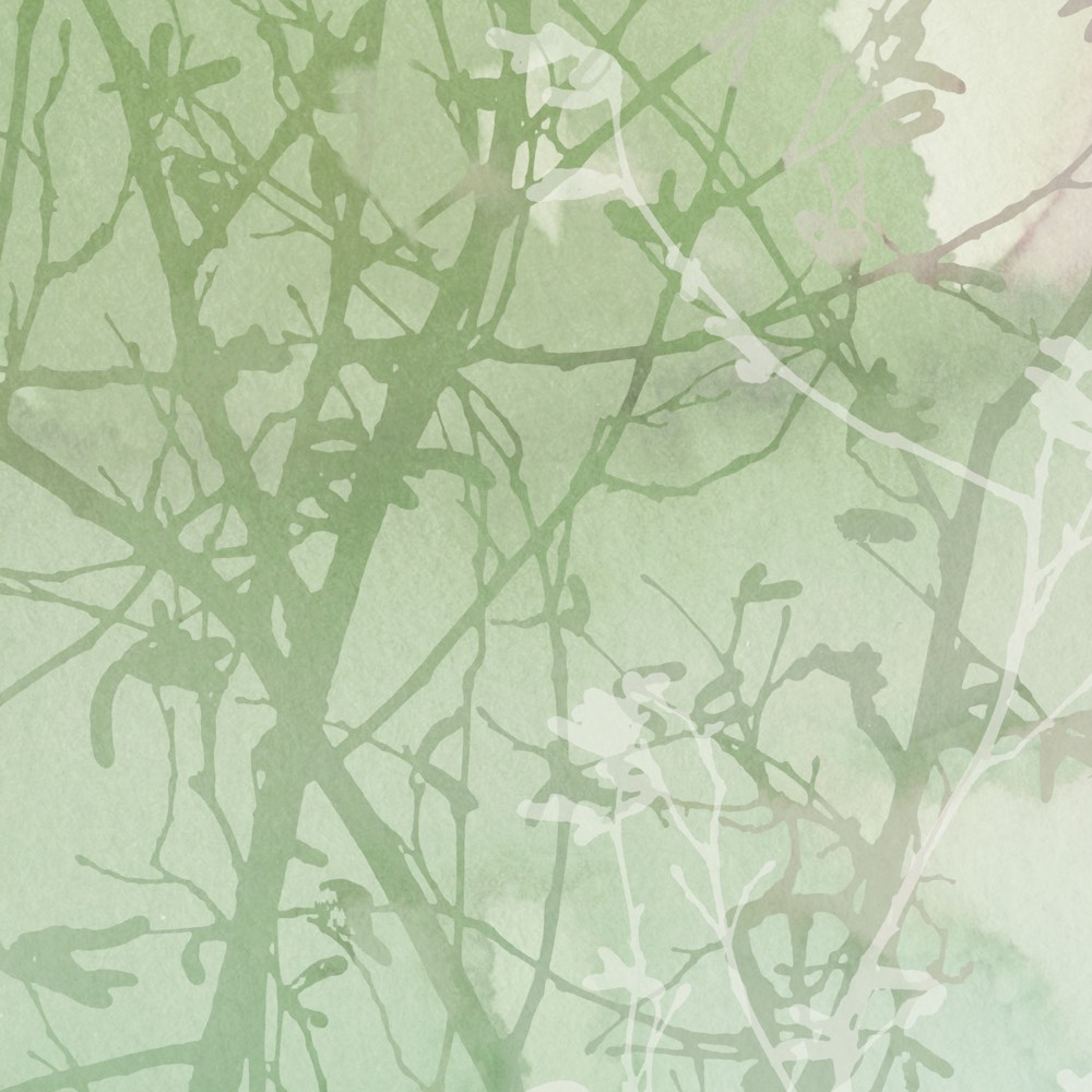 Abstrakte grüne Musterwand mit lichten Zweigen, beige-helles Hintergrunddesign; k’moor Wanddesign Dickicht, von MW Büroplanung inspiriert