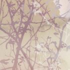 Elysian Wanddesign Muster mit beige Grundton und lilafarbenen Geäst-Strukturen, abstraktes Tapetenmuster von k'moor