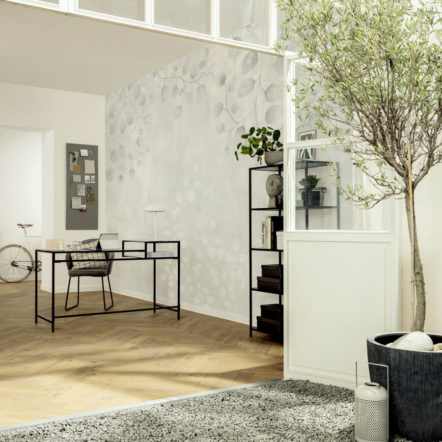 Silverstar Balance Innenraum mit hellem Muster an der Wand, moderner Arbeitsbereich, Holzfußboden, große Pflanze in Topf, Glasfronten und natürliche Beleuchtung