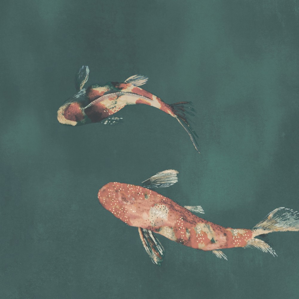 Imperial Koi: Zwei Koi-Fische in orange-rot mit weißen Akzenten schwimmen vor einem dunkelgrünen, tealartigen Hintergrund; künstlerische Darstellung des Koi-Motivs