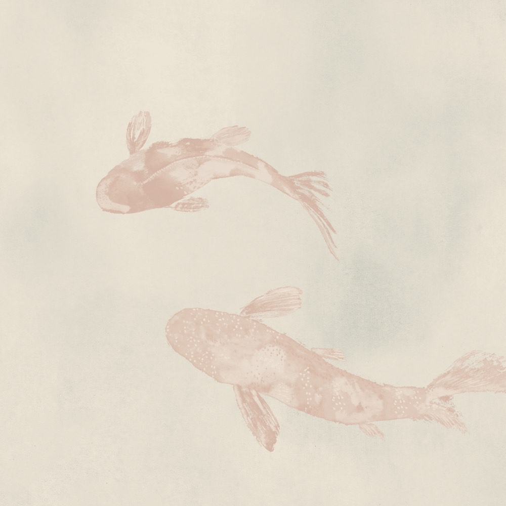 Pastellrosa Imperial Koi Rose Illustration mit zwei Koi-Fischen im fließenden Bogen, zarte rosa Töne auf cremefarbenem Hintergrund, künstlerisch abstrahiert