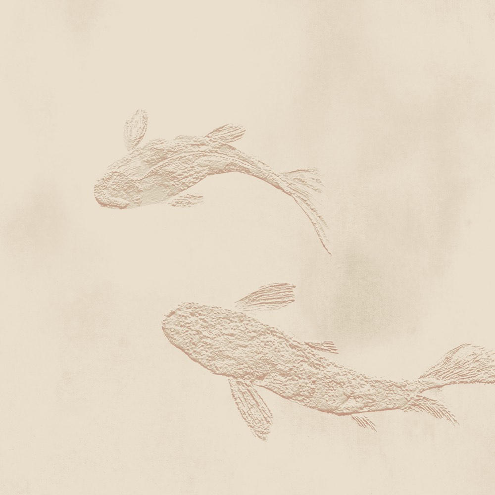 Beige Hintergrund mit feinen braunen Koi-Fischlinien, stilisierte Tintenzeichnung eines Imperial Koi auf hellem Untergrund