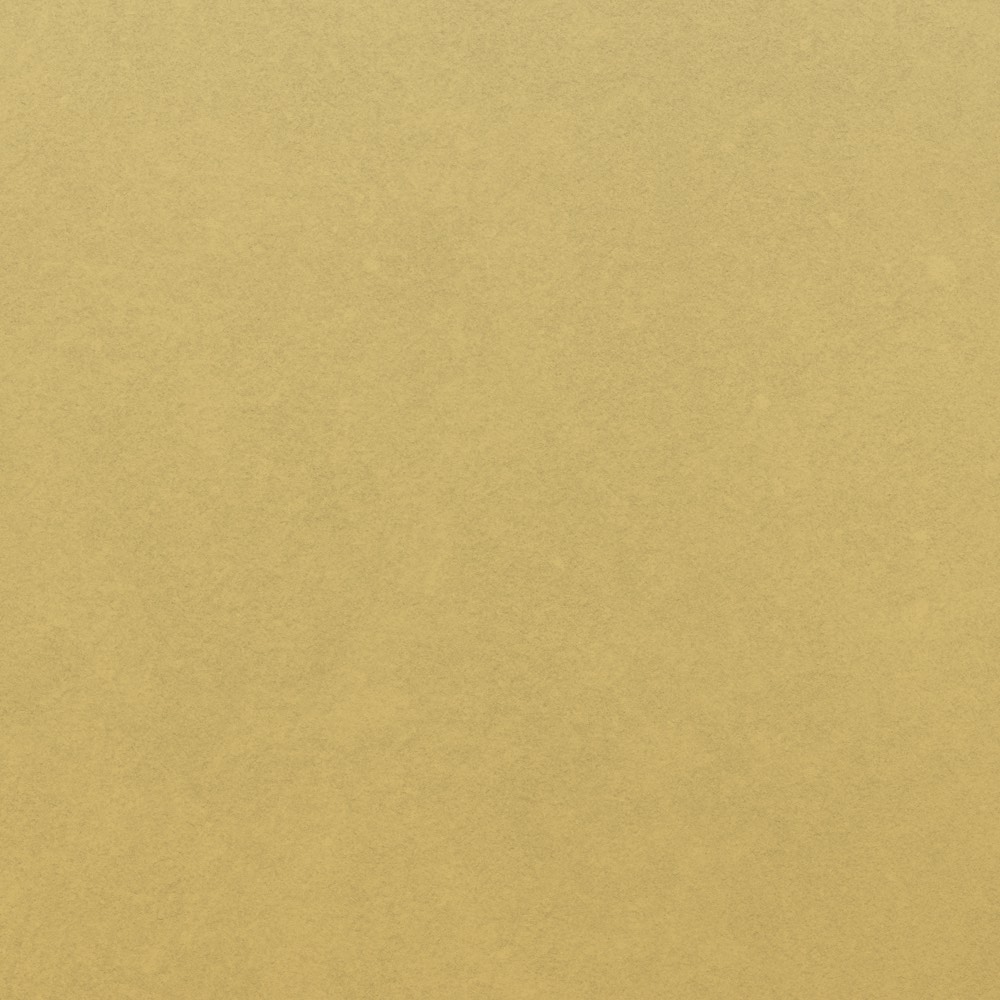 Wanddesign in candy butter, beige mit feiner Struktur und gleichmäßiger matter Oberfläche, ruhiges Farbbild ohne Muster oder Kontraste.