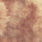 Bosco Velato Autumn von k'moor walldesign zeigt eine braun-beige, körnige Struktur mit warmen Herbsttönen und feinen Sprenkeln.