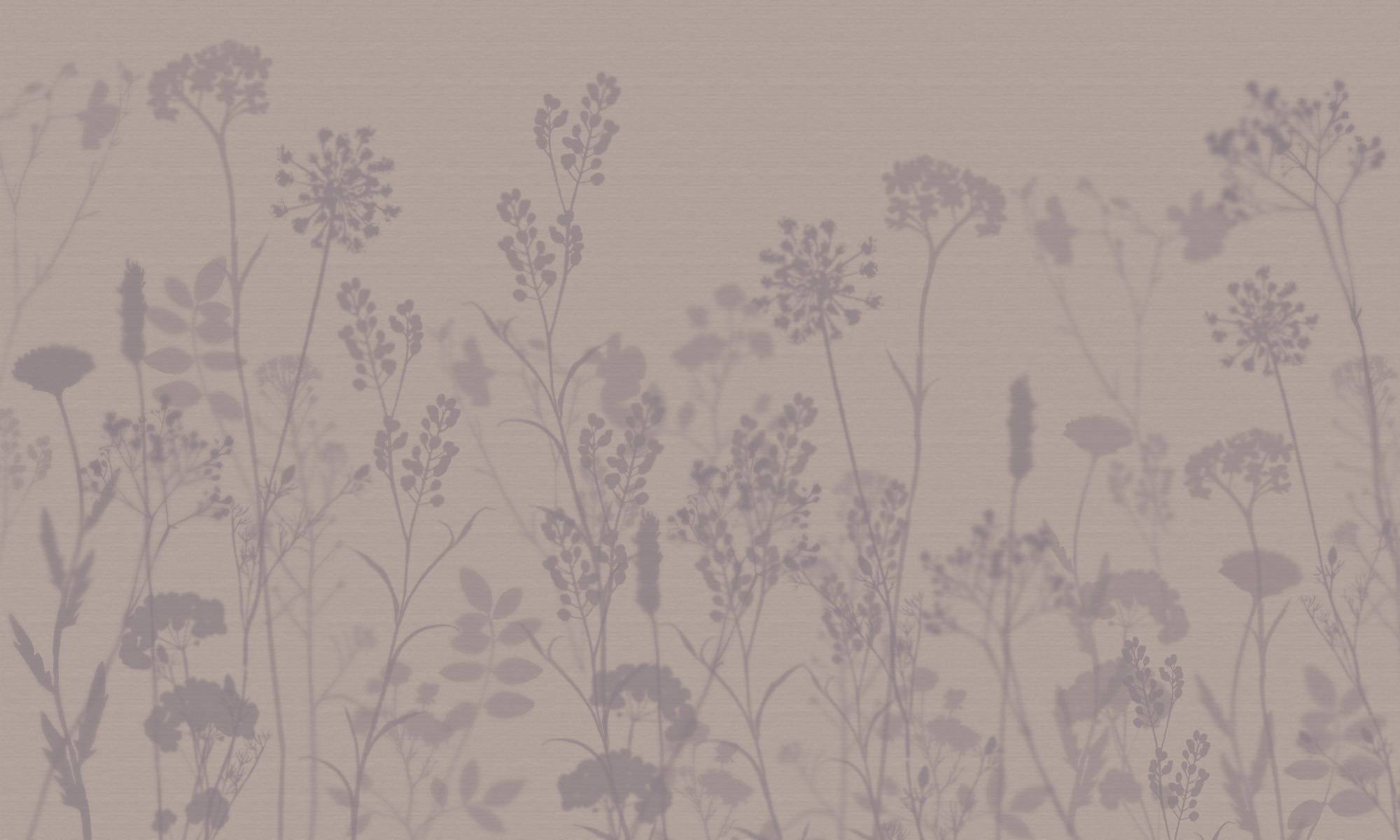 Sanfte Lavendel-Silhouetten mit zarten Pflanzen- und Blütenformen auf hellem Hintergrund, fein abgestuft und harmonisch verteilt.