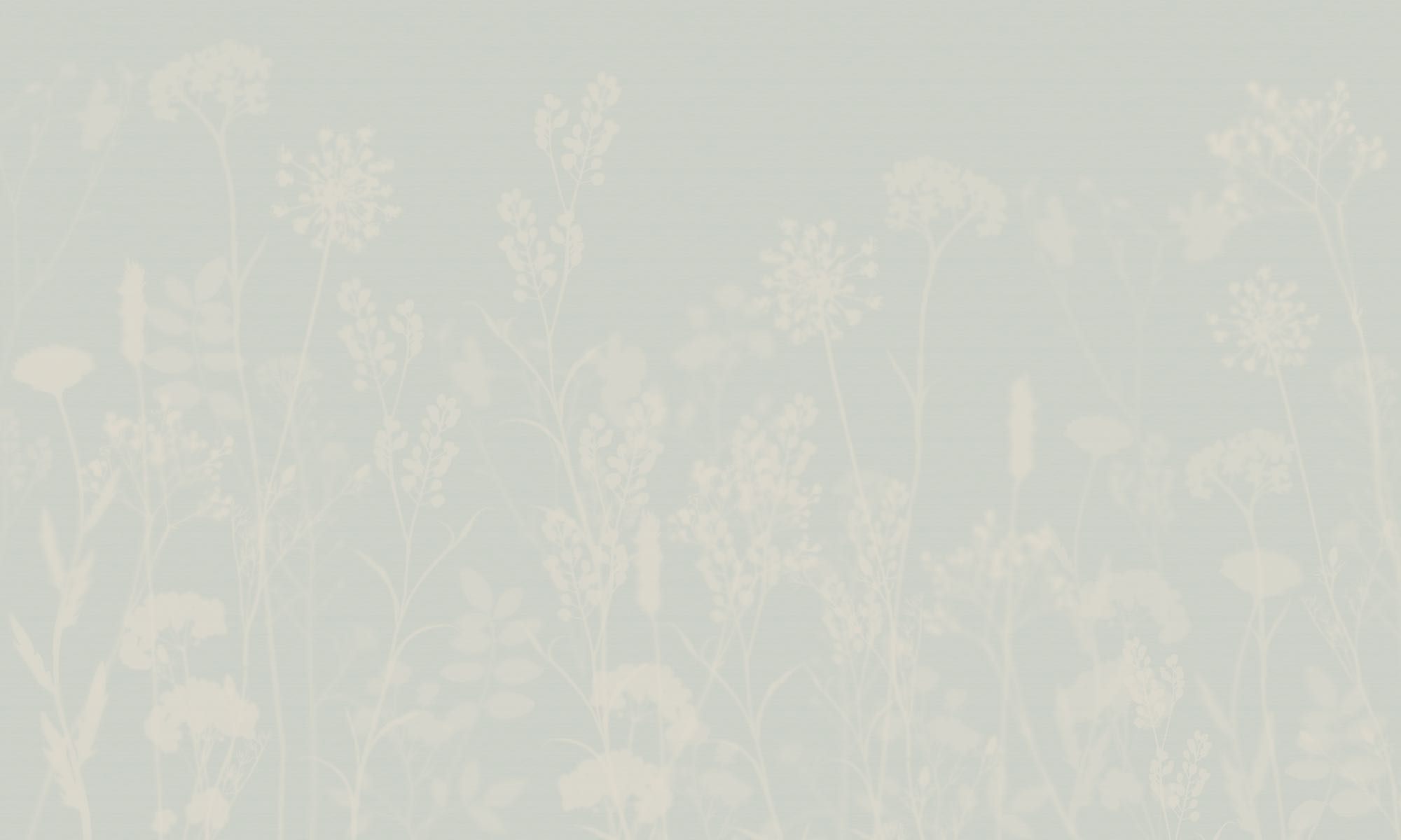Sanfte Silhouetten in hellblau mit feinen, floralen Ornamenten und ruhigen Linien, die ein leichtes, luftiges Gesamtbild erzeugen.