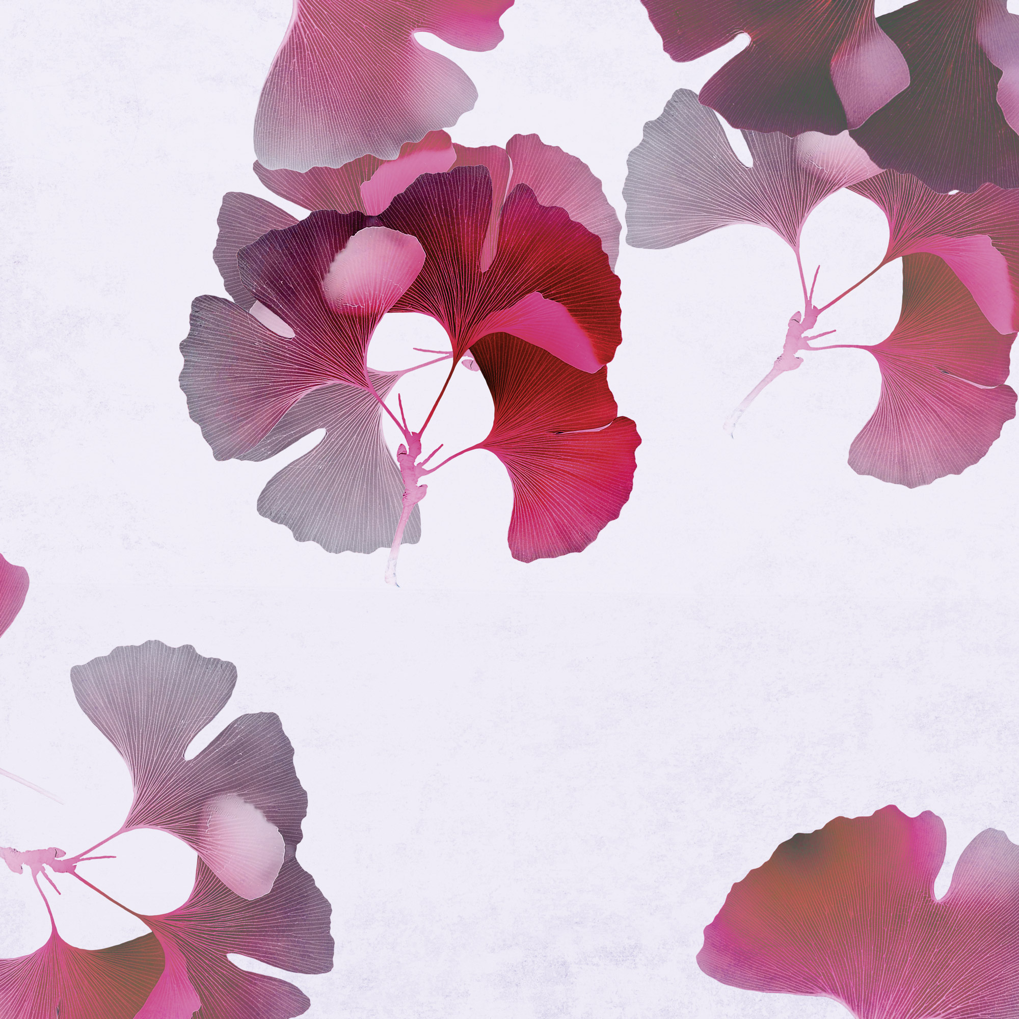 Zarte Ginkgo-Blätter in Rot-, Pink- und Grautönen verteilen sich über eine helle Fläche und zeigen feine Linien sowie eine ruhige, elegante Wirkung.