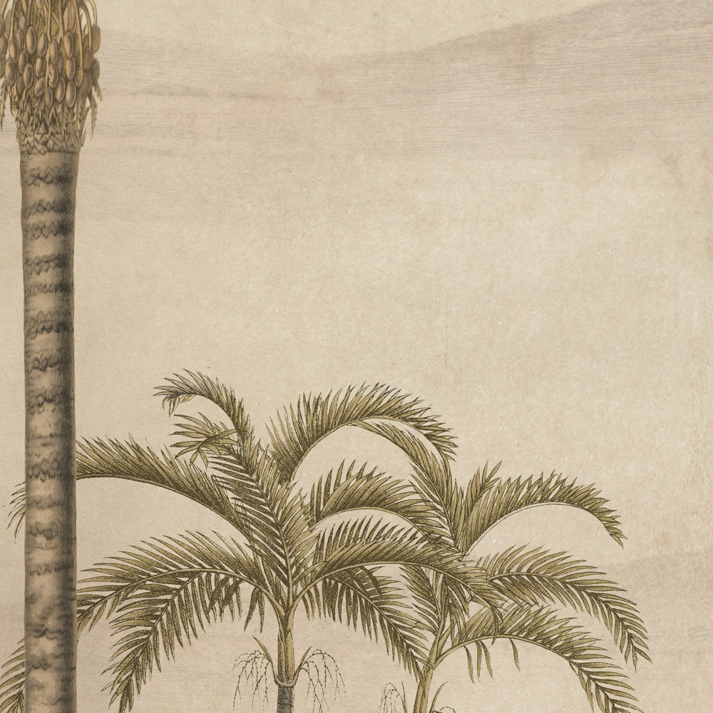 Feine Palmenmotive auf sandfarbenem Hintergrund bringen Marrakech-Charme und dezente Wüstenstimmung in das 1 m Wanddesign.