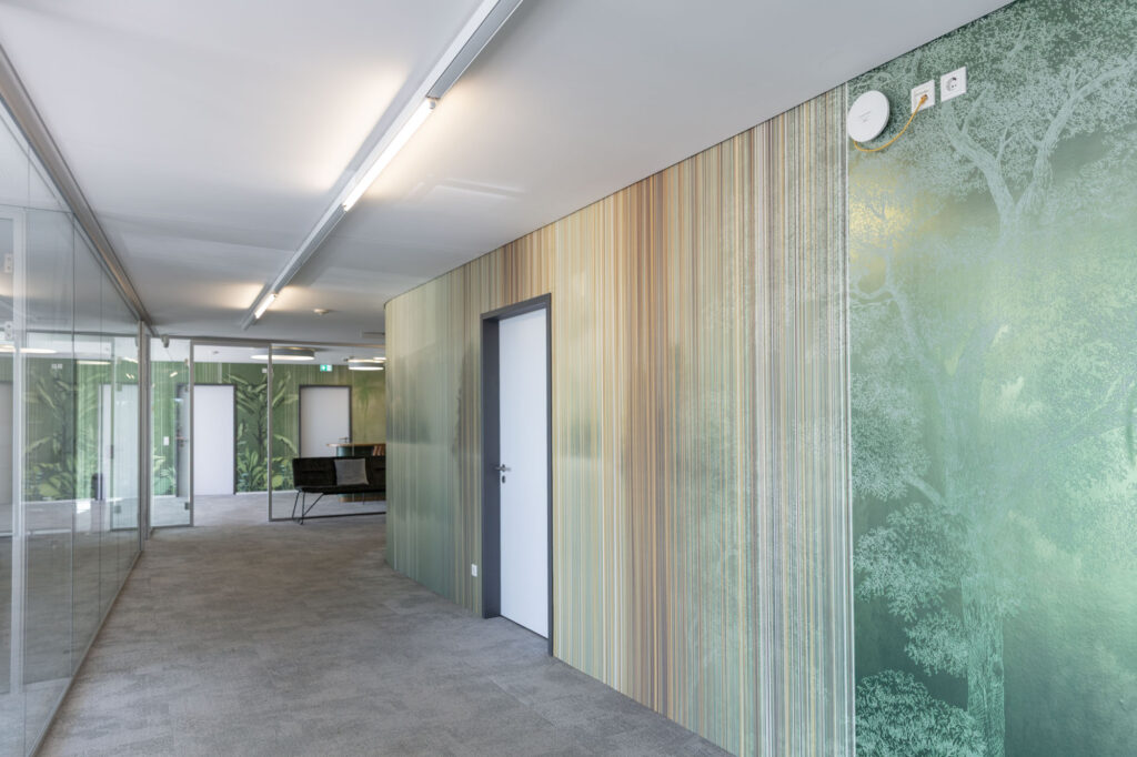 A bright office corridor with glass partitions, a green botanical feature wall and striped wall design creates a modern interior.