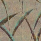 Abstract grass blades cross a beige textured surface with turquoise and brown accents in the Floating Grass Summer design.