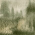 Sanfte, abstrakte Moosgrün- und Beigetöne formen eine verwaschene, textilartige Wandstruktur mit ruhiger Tiefenwirkung.