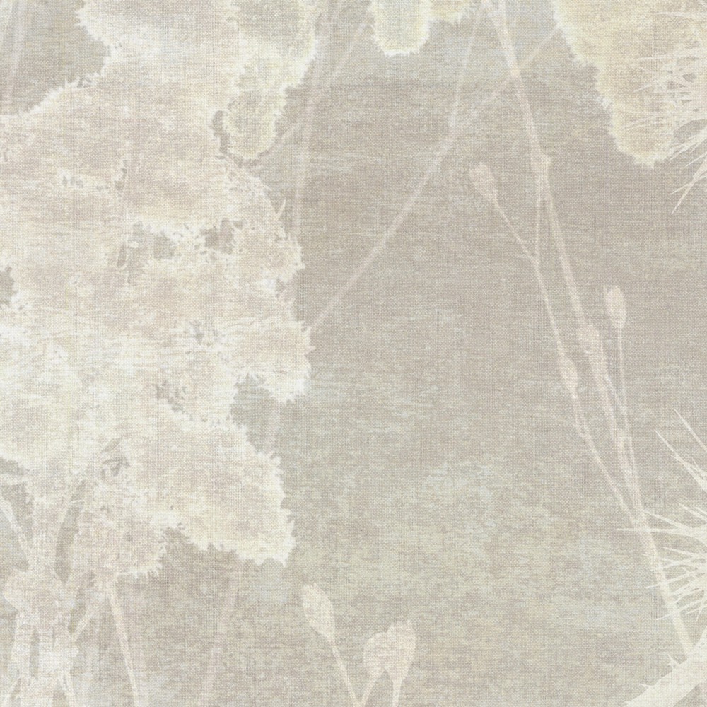 Feine cremefarbene Blüten und Gräser zeichnen sich auf einer hellen, texturierten Oberfläche mit sanftem Naturmuster ab.
